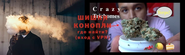 твердый Алзамай