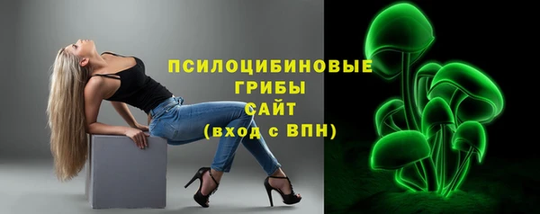 ПСИЛОЦИБИНОВЫЕ ГРИБЫ Армянск