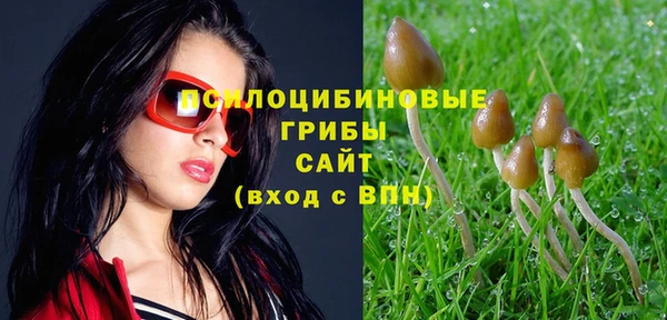MDMA Аркадак