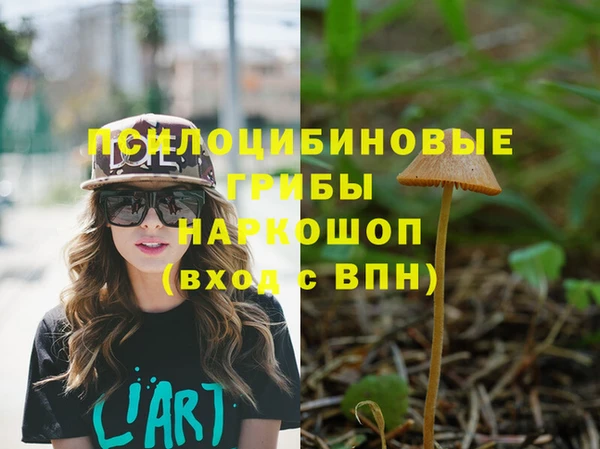 твердый Алзамай
