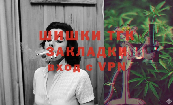 твердый Алзамай