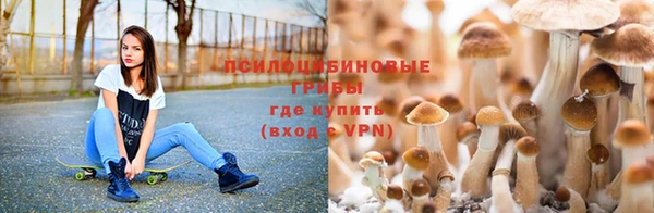 Альфа ПВП Алексеевка
