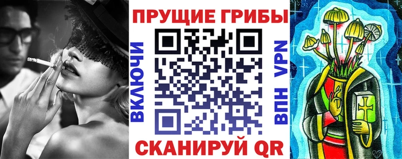 Купить закладки  Лермонтов  Псилоцибиновые грибы мухоморы 