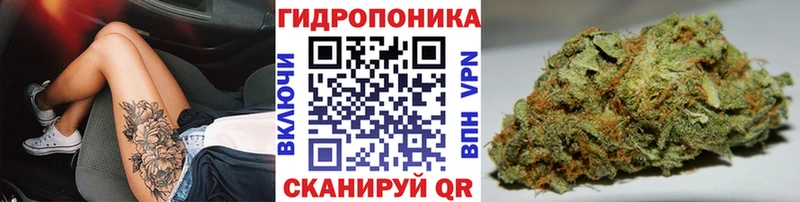 Бошки марихуана конопля  Купить закладки  Лермонтов 